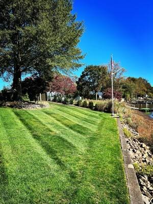 {{ custom_values.service_2 }} in {{custom_values.area_2})