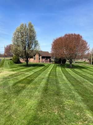 Mulch Installation in Delran, NJ