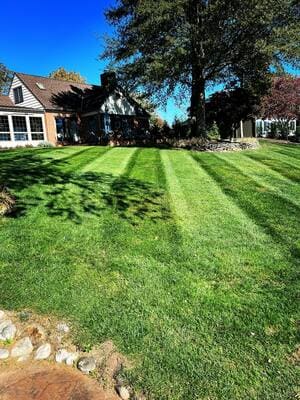 {{ custom_values.service_3 }} in {{custom_values.area_3})