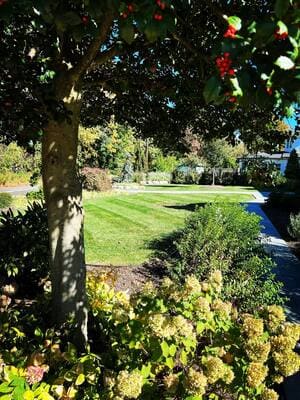 {{ custom_values.service_3 }} in {{custom_values.area_2})