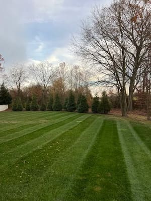 Organic Mosquito control in Delanco, NJ