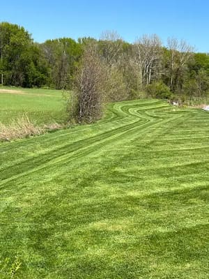 {{ custom_values.service_3 }} in {{custom_values.area_2})