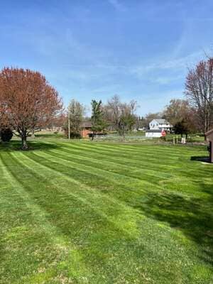 {{ custom_values.service_3 }} in {{custom_values.area_2})