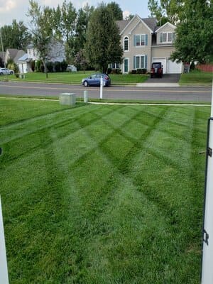 {{ custom_values.service_2 }} in {{custom_values.area_3})