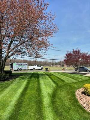 {{ custom_values.service_3 }} in {{custom_values.area_3})