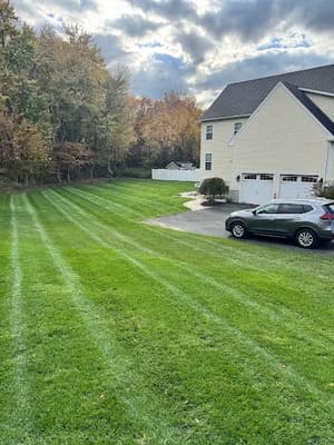 {{ custom_values.service_3 }} in {{custom_values.area_3})