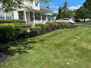 {{ custom_values.service_3 }} in {{custom_values.area_3})