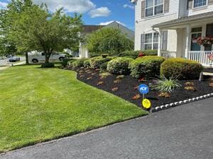 {{ custom_values.service_3 }} in {{custom_values.area_3})