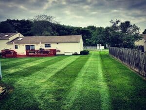 Fertilization & Weed control in Delran, NJ