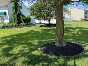 {{ custom_values.service_2 }} in {{custom_values.area_2})