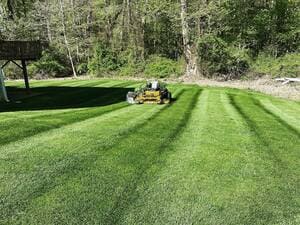 {{ custom_values.service_2 }} in {{custom_values.area_2})