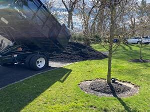 {{ custom_values.service_1 }} in {{custom_values.area_2})