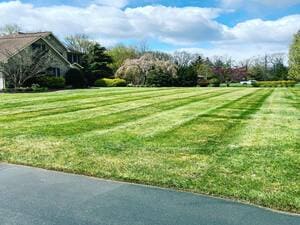 {{ custom_values.service_3 }} in {{custom_values.area_2})