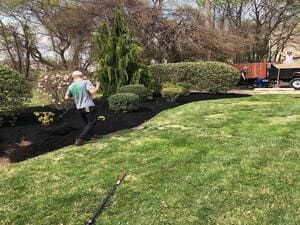 {{ custom_values.service_2 }} in {{custom_values.area_2})