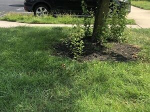 {{ custom_values.service_3 }} in {{custom_values.area_3})