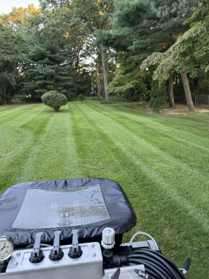 {{ custom_values.service_2 }} in {{custom_values.area_2})