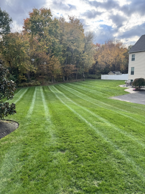 Fertilization & Weed control in Delanco, NJ