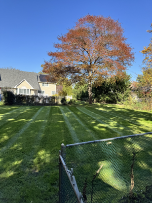 Mulch Installation in Delran, NJ