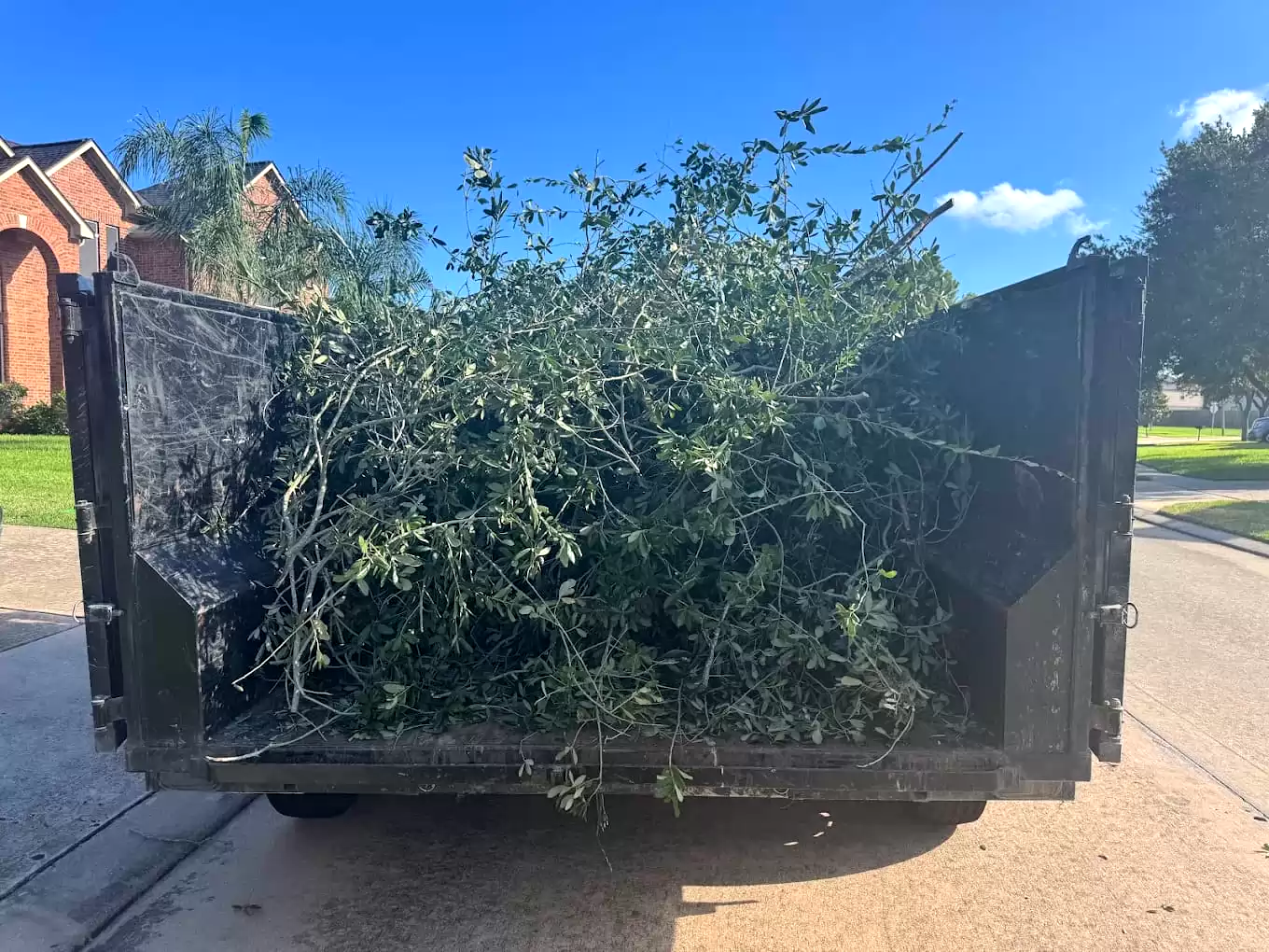 Dump trailer filled with branches and brush