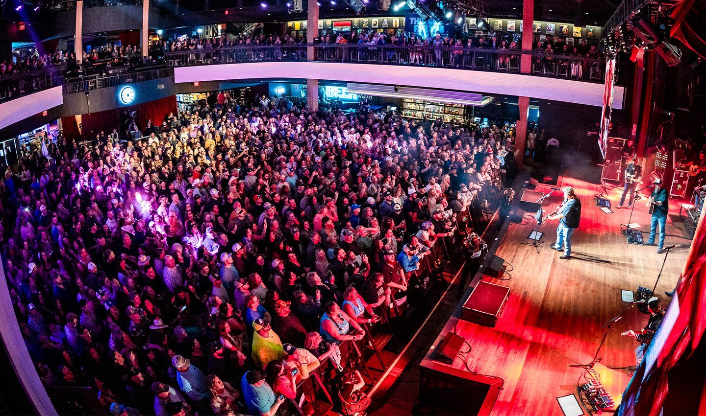 Category 10 concert crowd