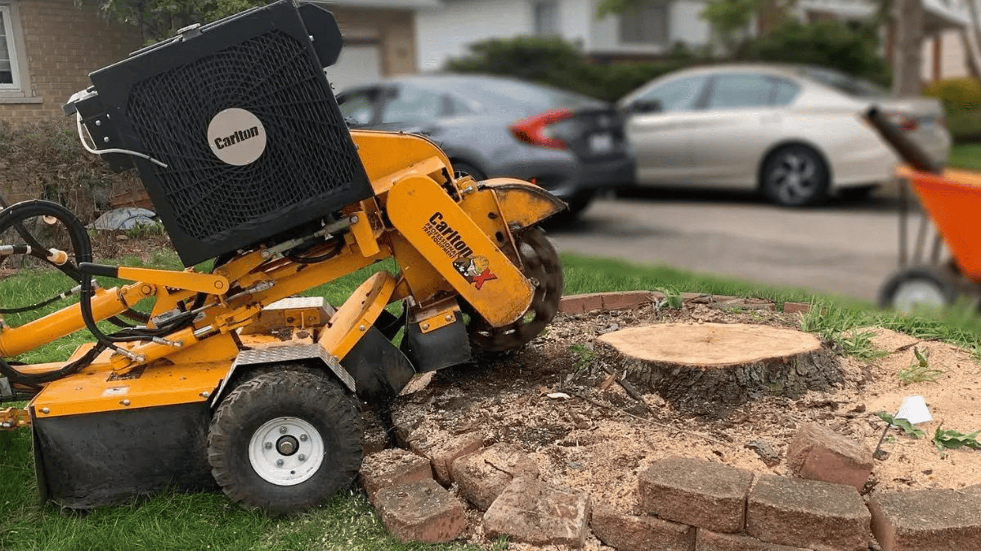 Stump Grinding & Removal