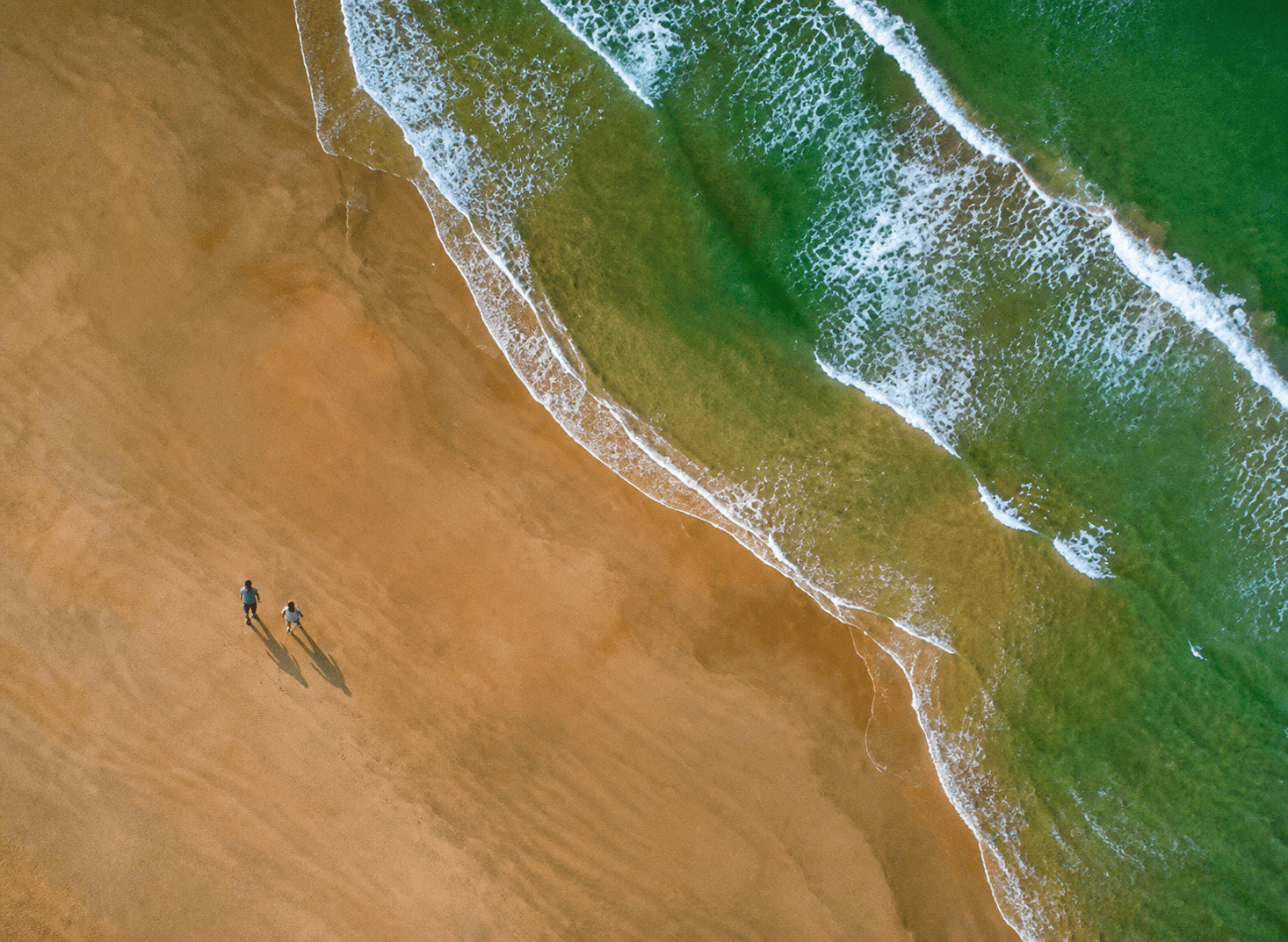 El Palmar