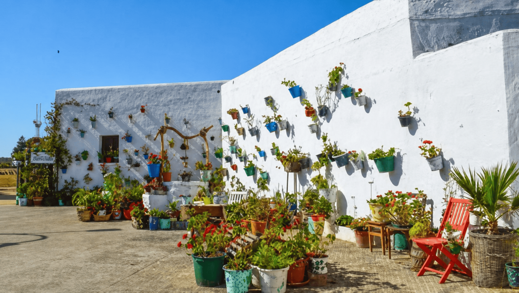 El Palmar