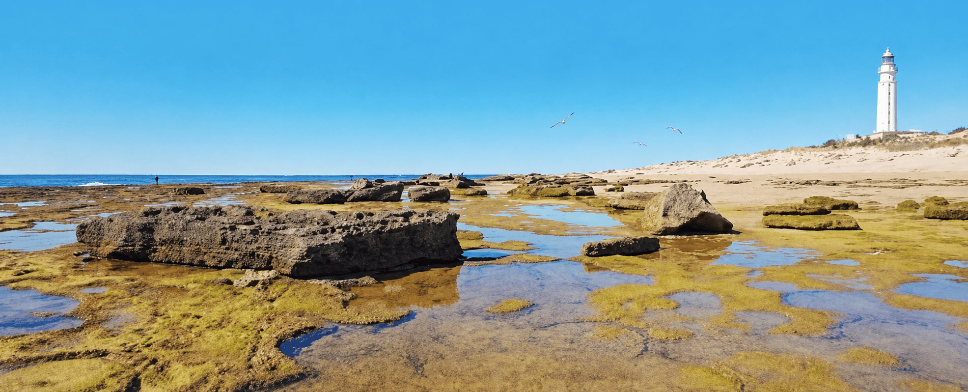 El Palmar