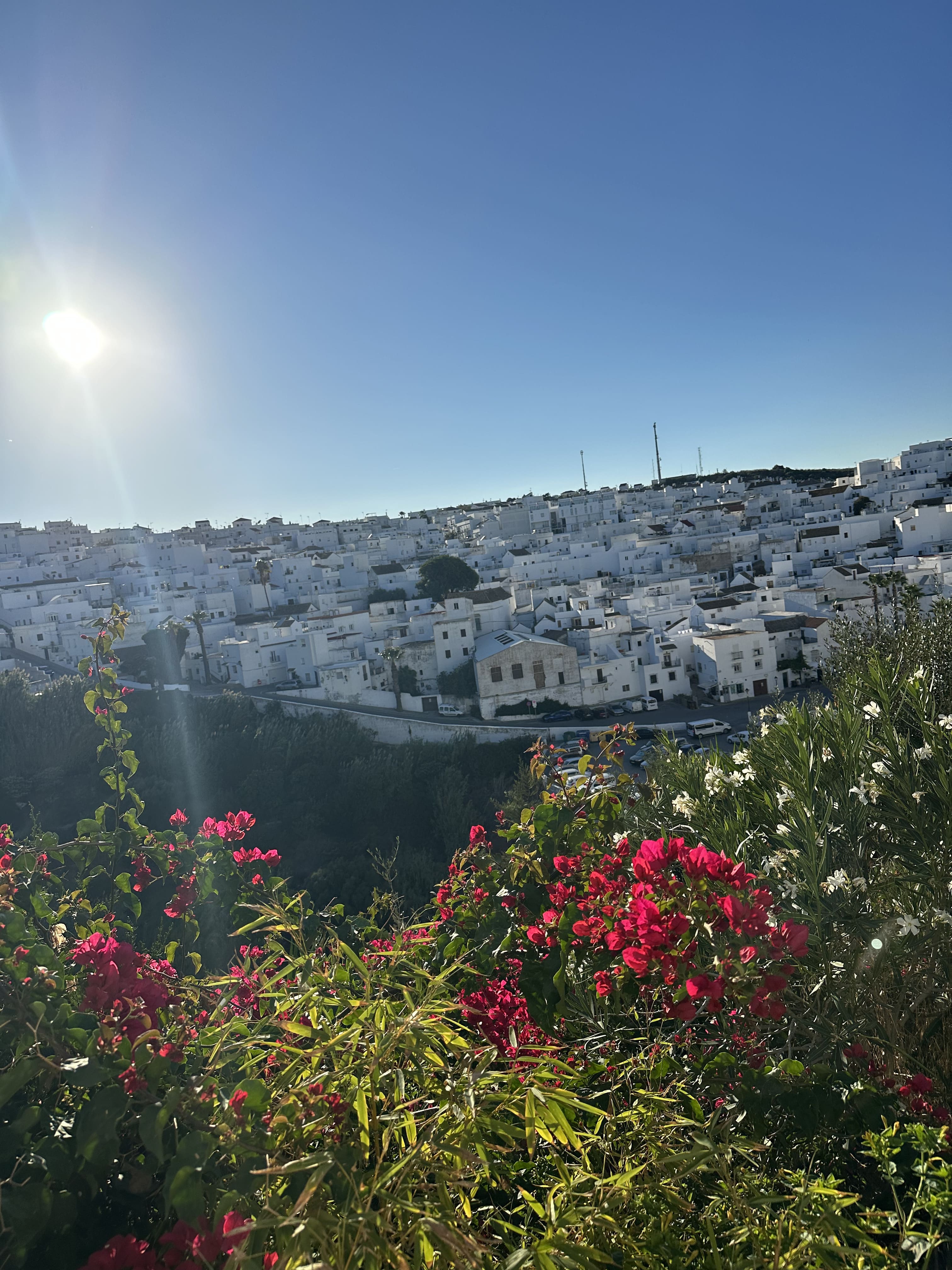 El Palmar