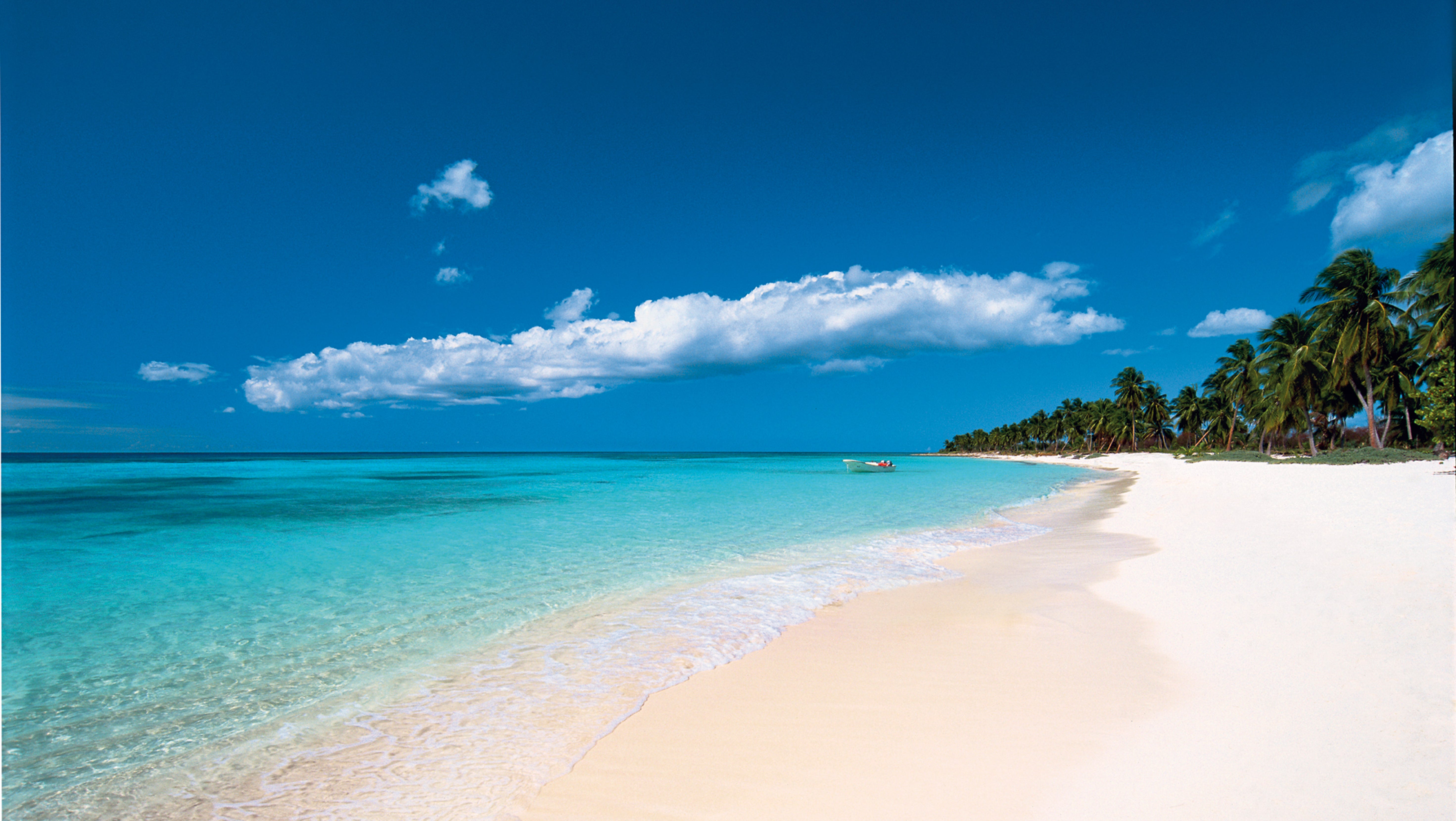 Punta Cana condo investment Caribbean real estate rental income beachfront