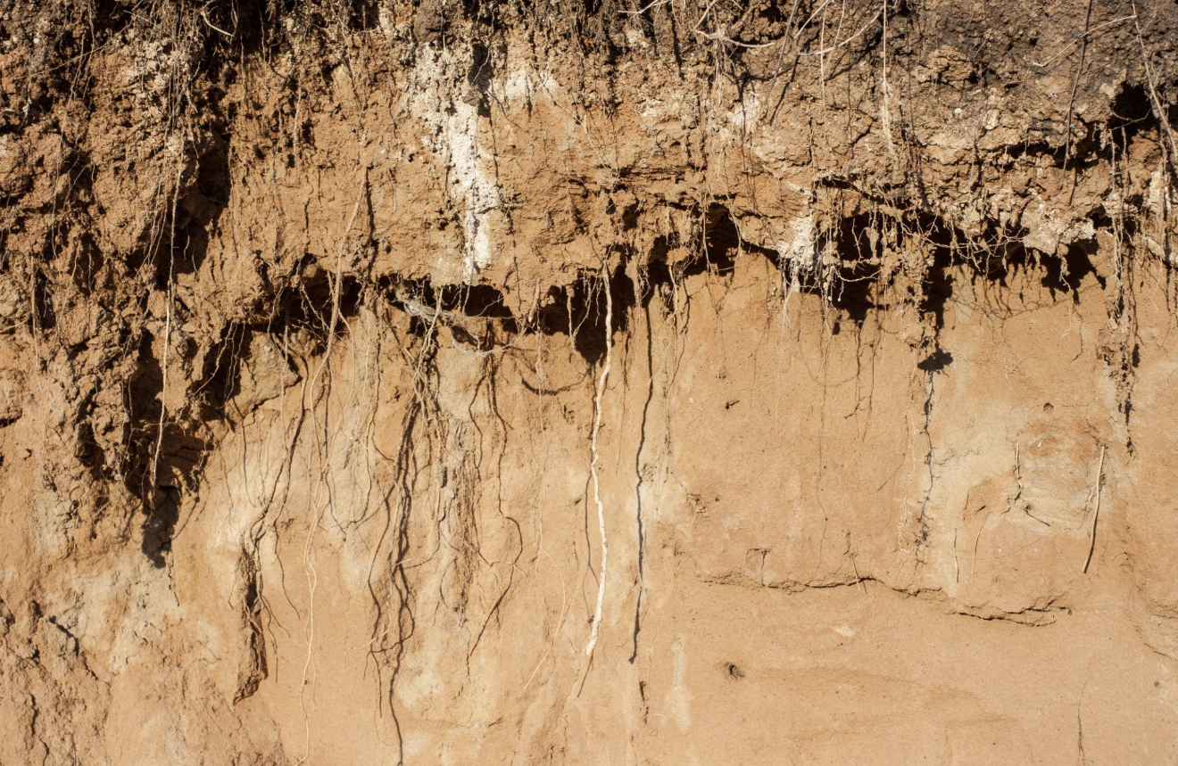 Sandy Soil Image