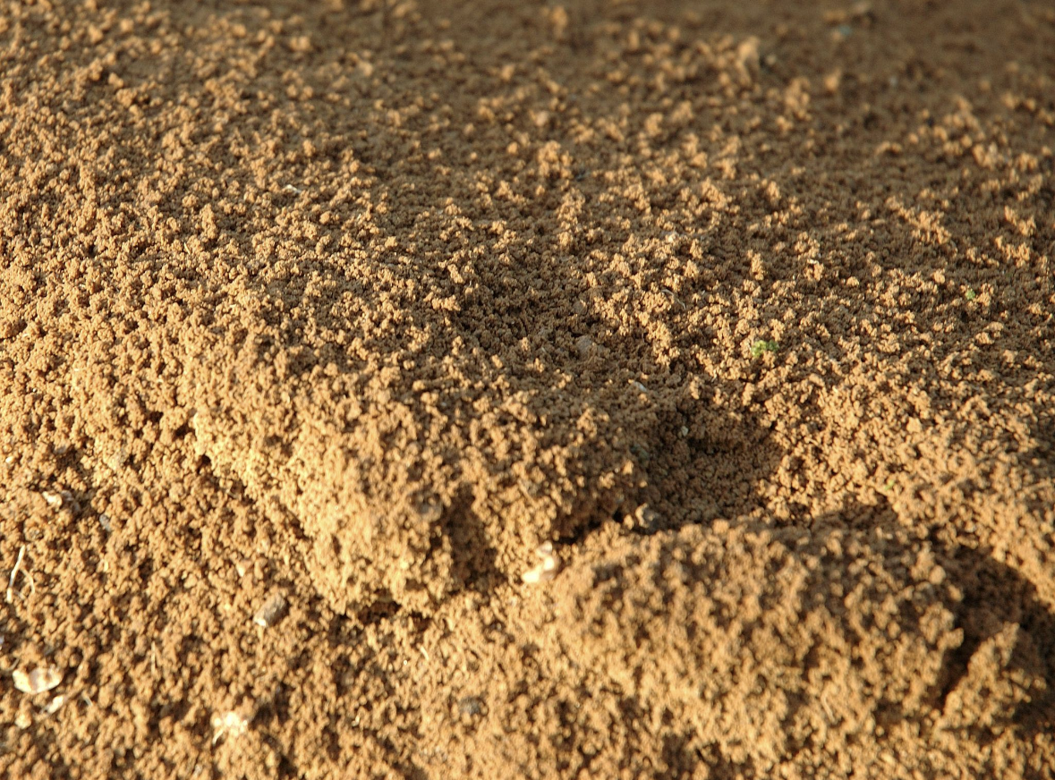 Loam Soil Image