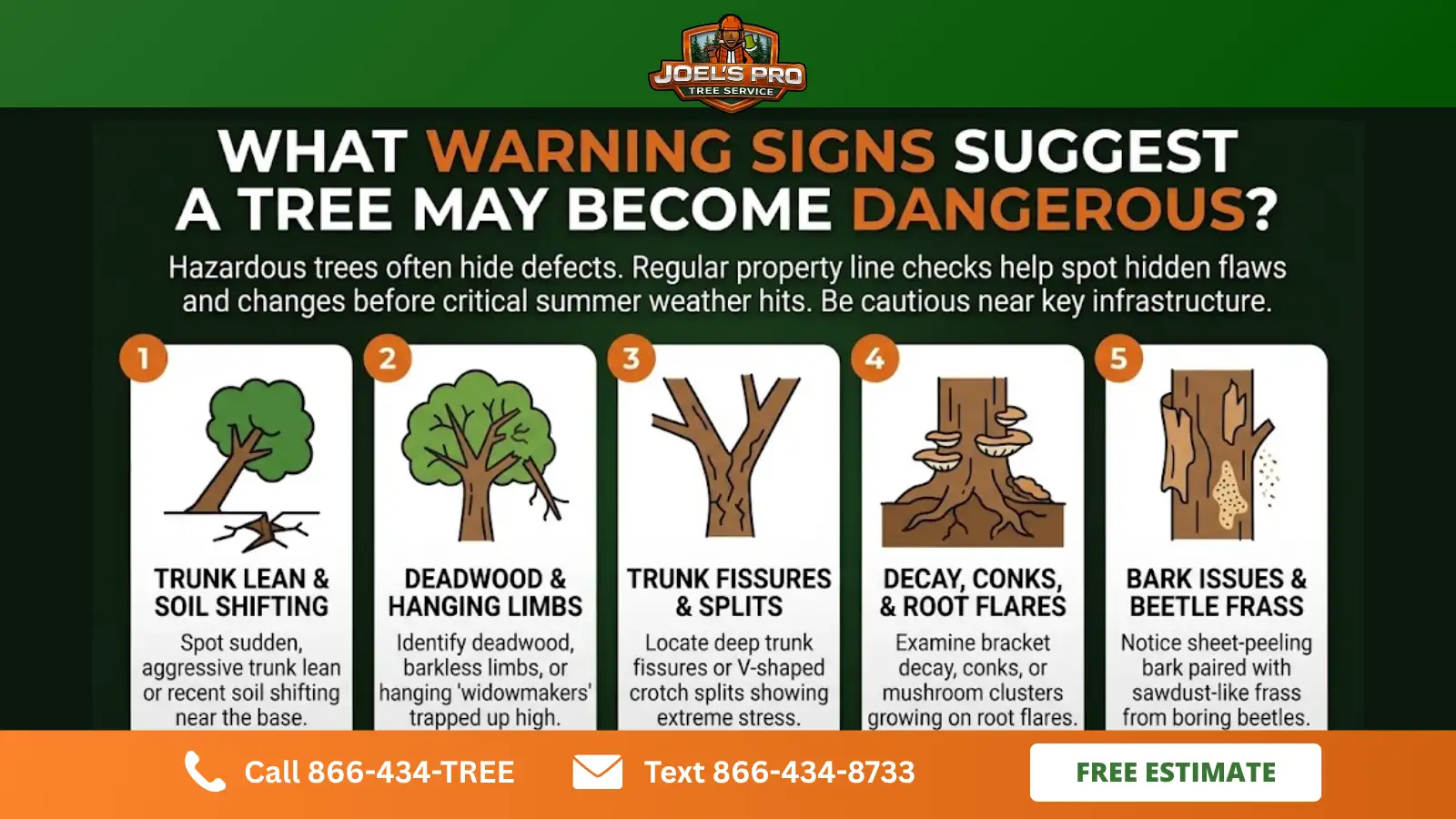 tree removal tree removal