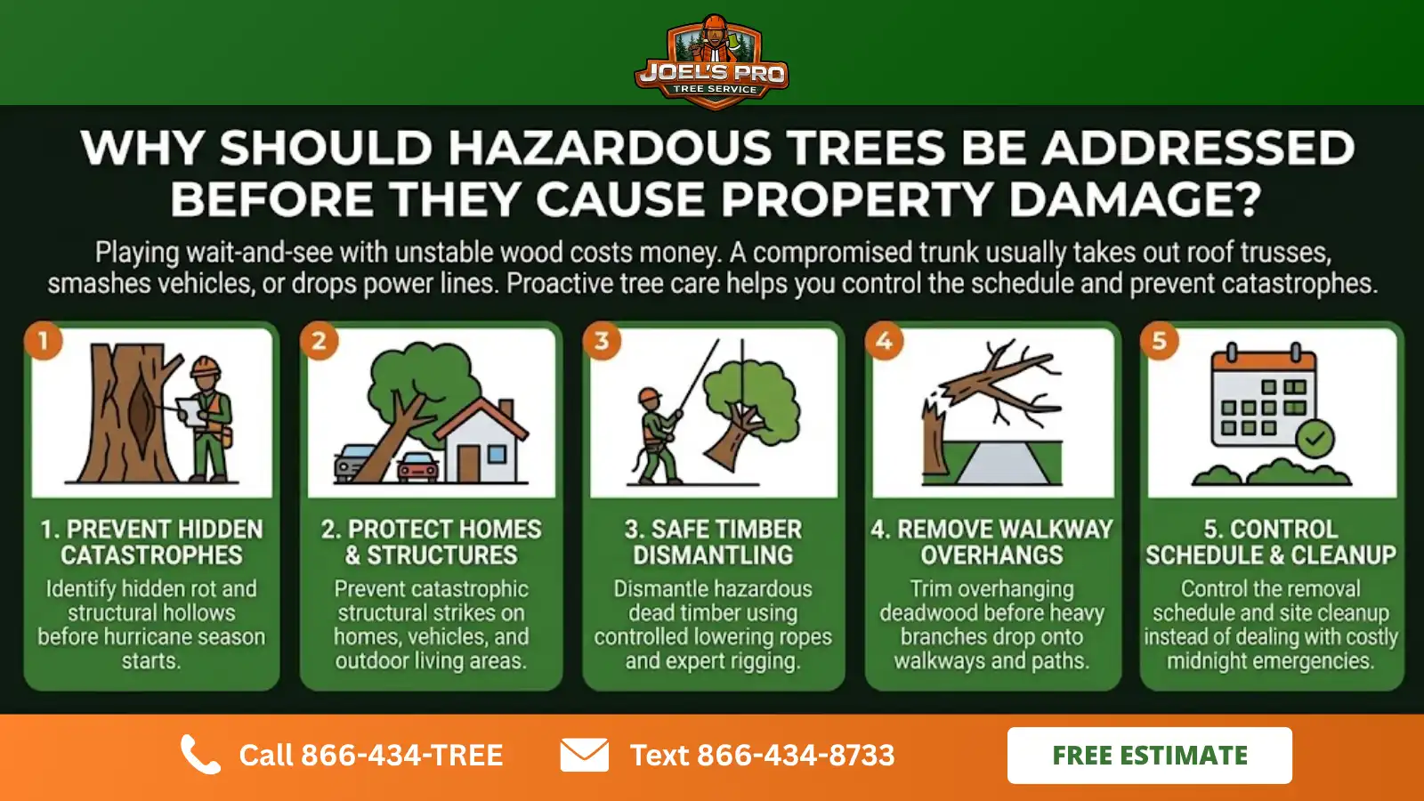 tree removal tree removal