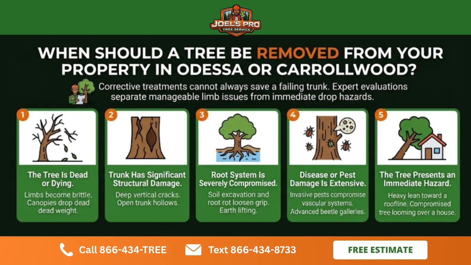 tree removal tree removal