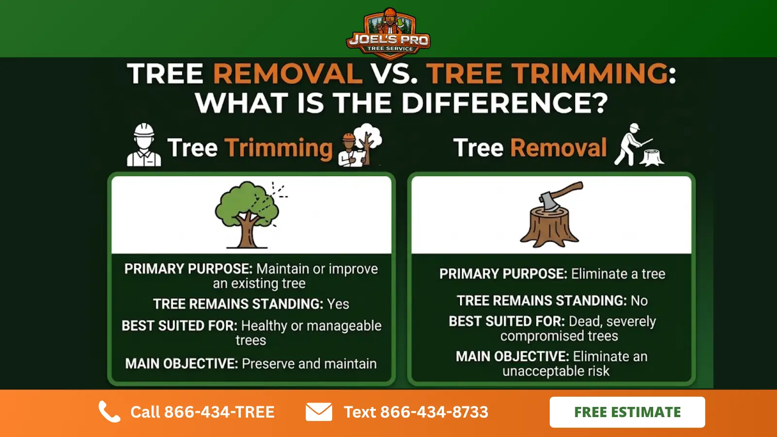 tree removal tree removal