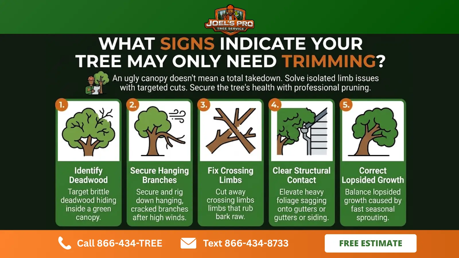 tree trimming in Odessa, FL tree trimming in Odessa, FL