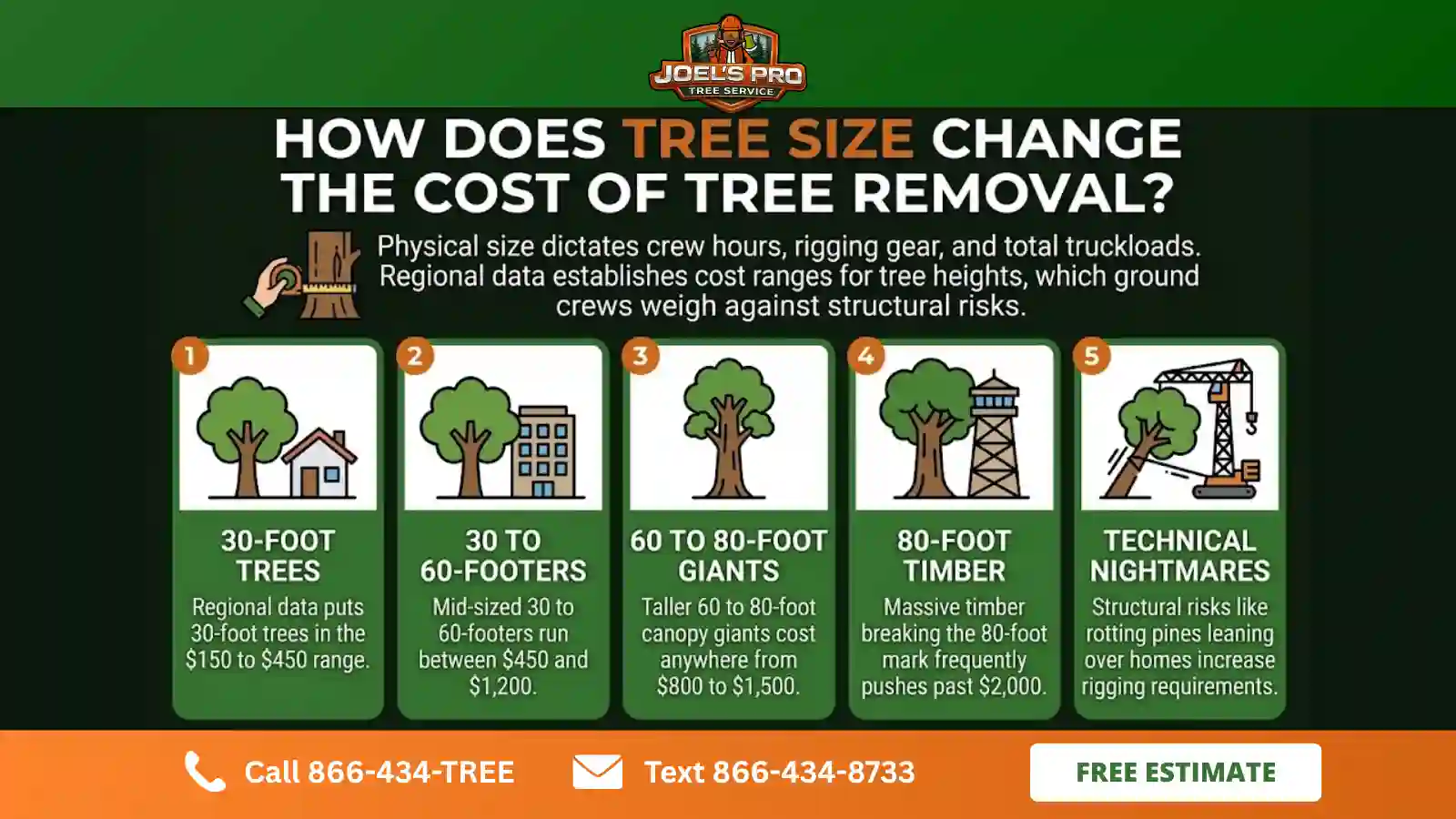 tree removal service in Odessa, FL tree removal service in Odessa, FL