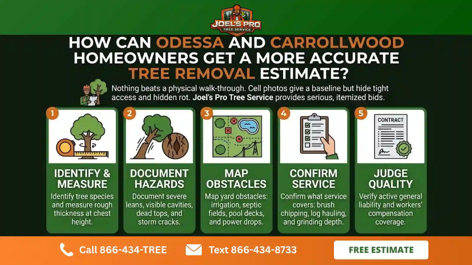 tree trimming in Odessa, FL tree trimming in Odessa, FL
