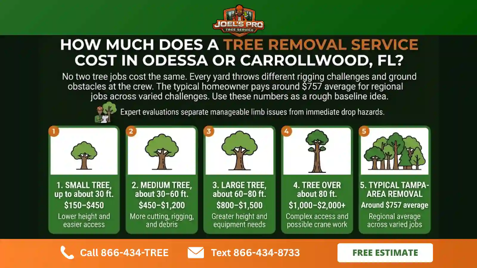 tree trimming in Odessa, FL tree trimming in Odessa, FL