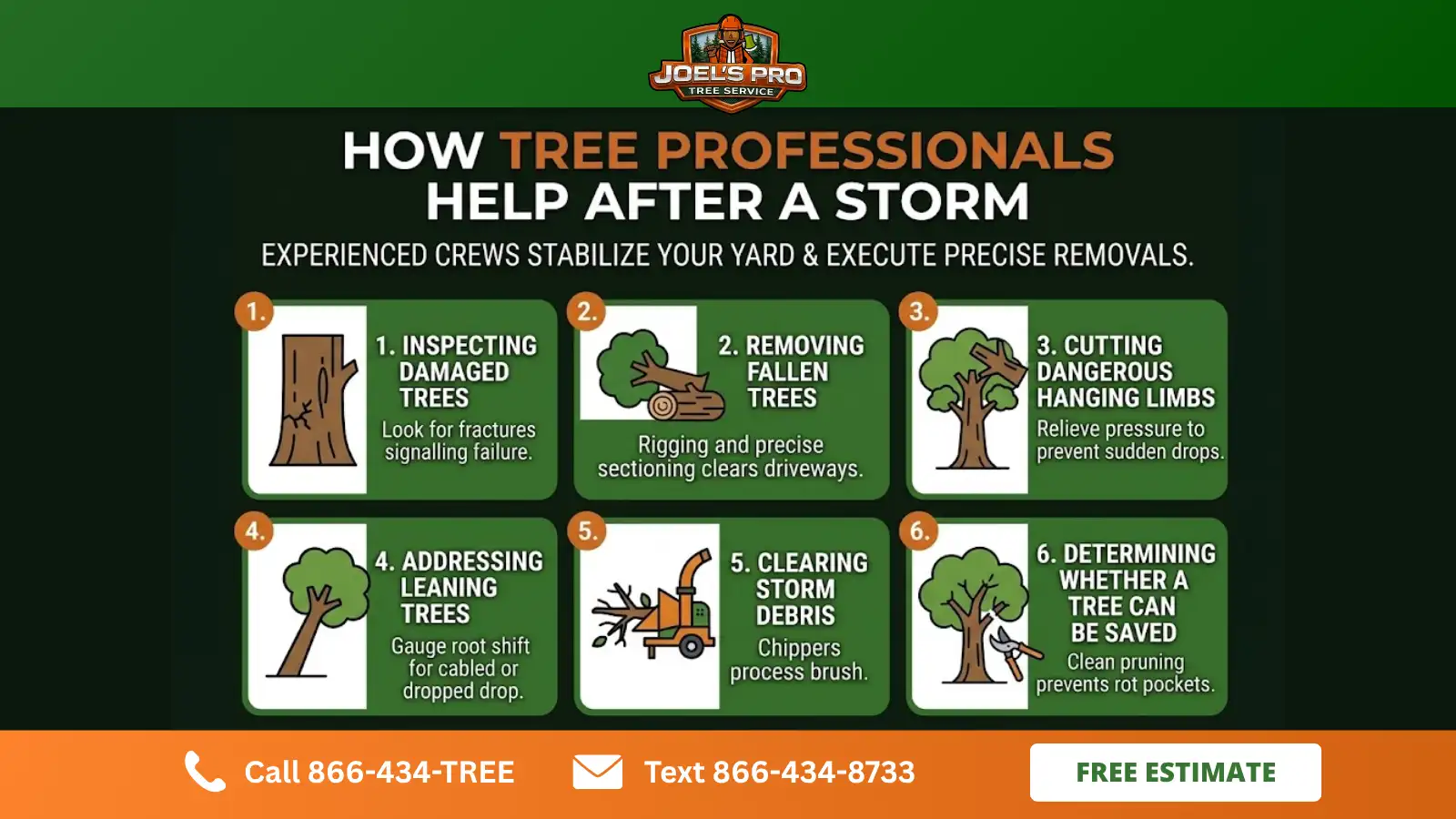Can a Tree Service Near You Help With Storm Damage Can a Tree Service Near You Help With Storm Damage