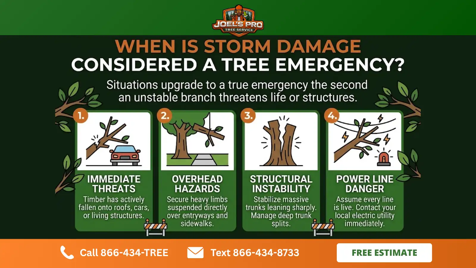Can a Tree Service Near You Help With Storm Damage Can a Tree Service Near You Help With Storm Damage