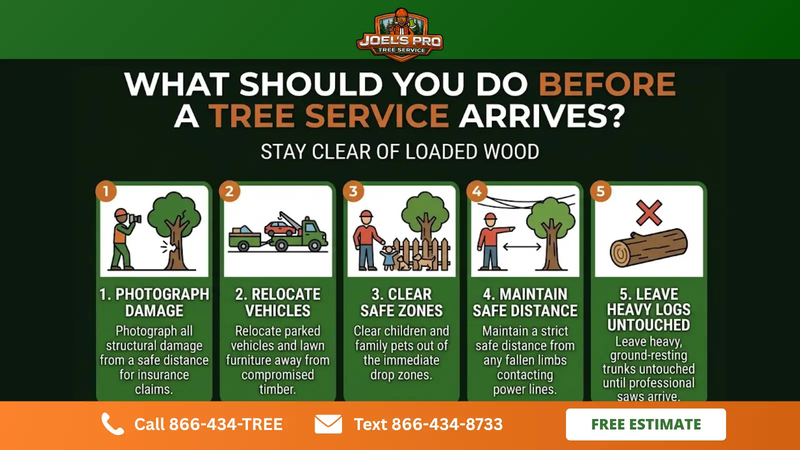 Can a Tree Service Near You Help With Storm Damage Can a Tree Service Near You Help With Storm Damage