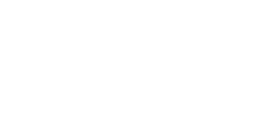 Meta Business Partner