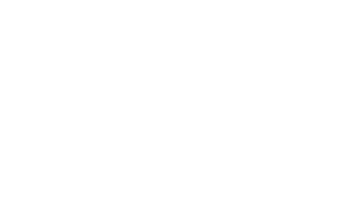 Klaviyo Partner