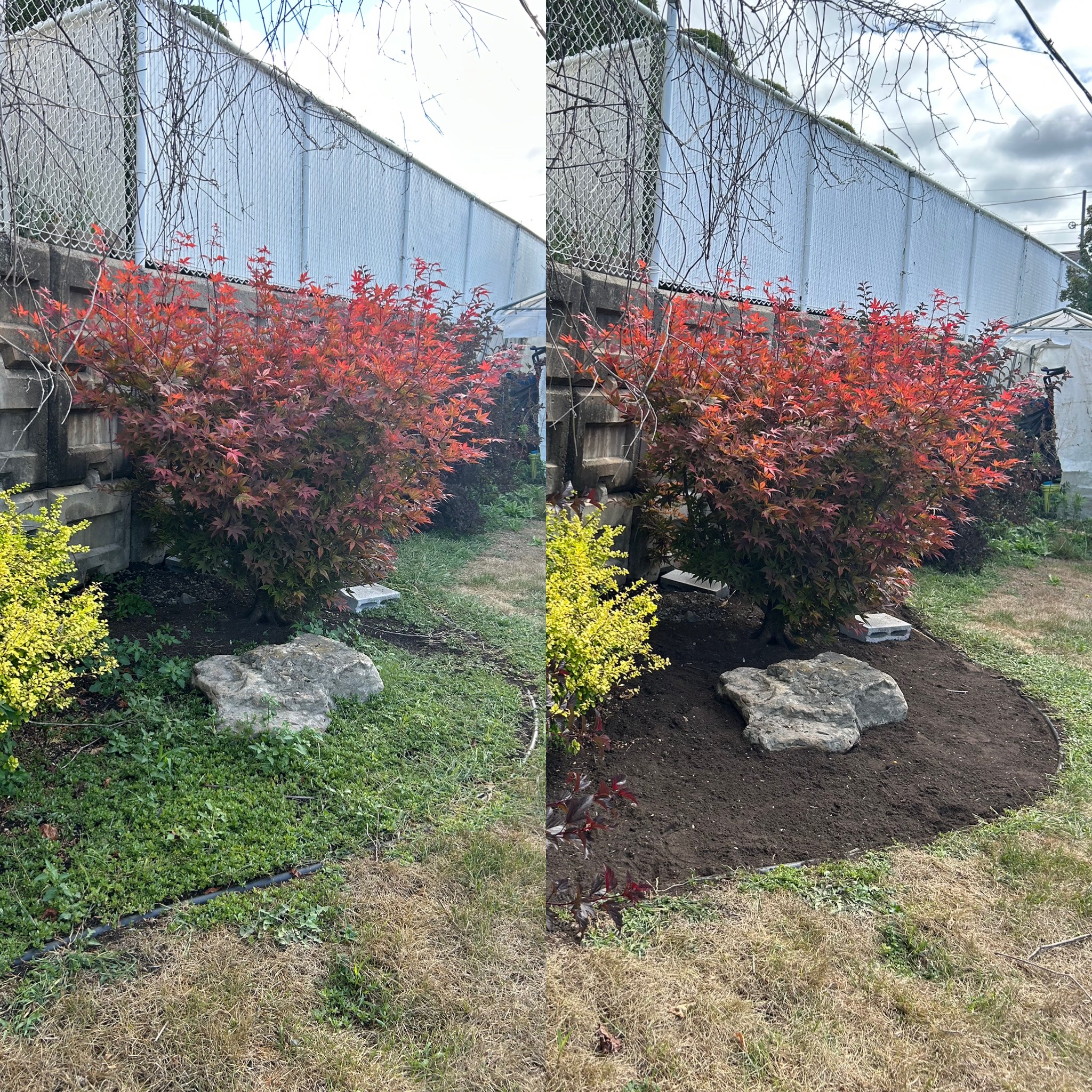 Client 4