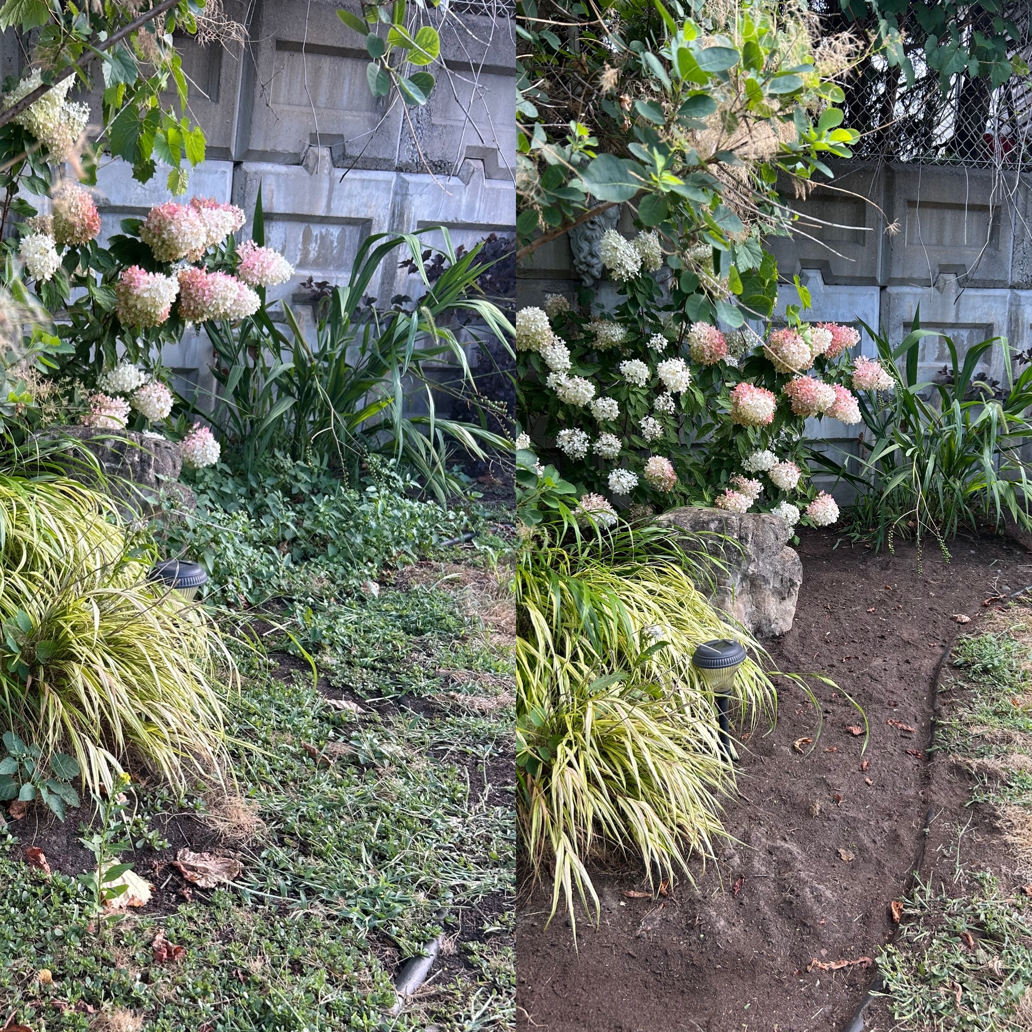 Client 5