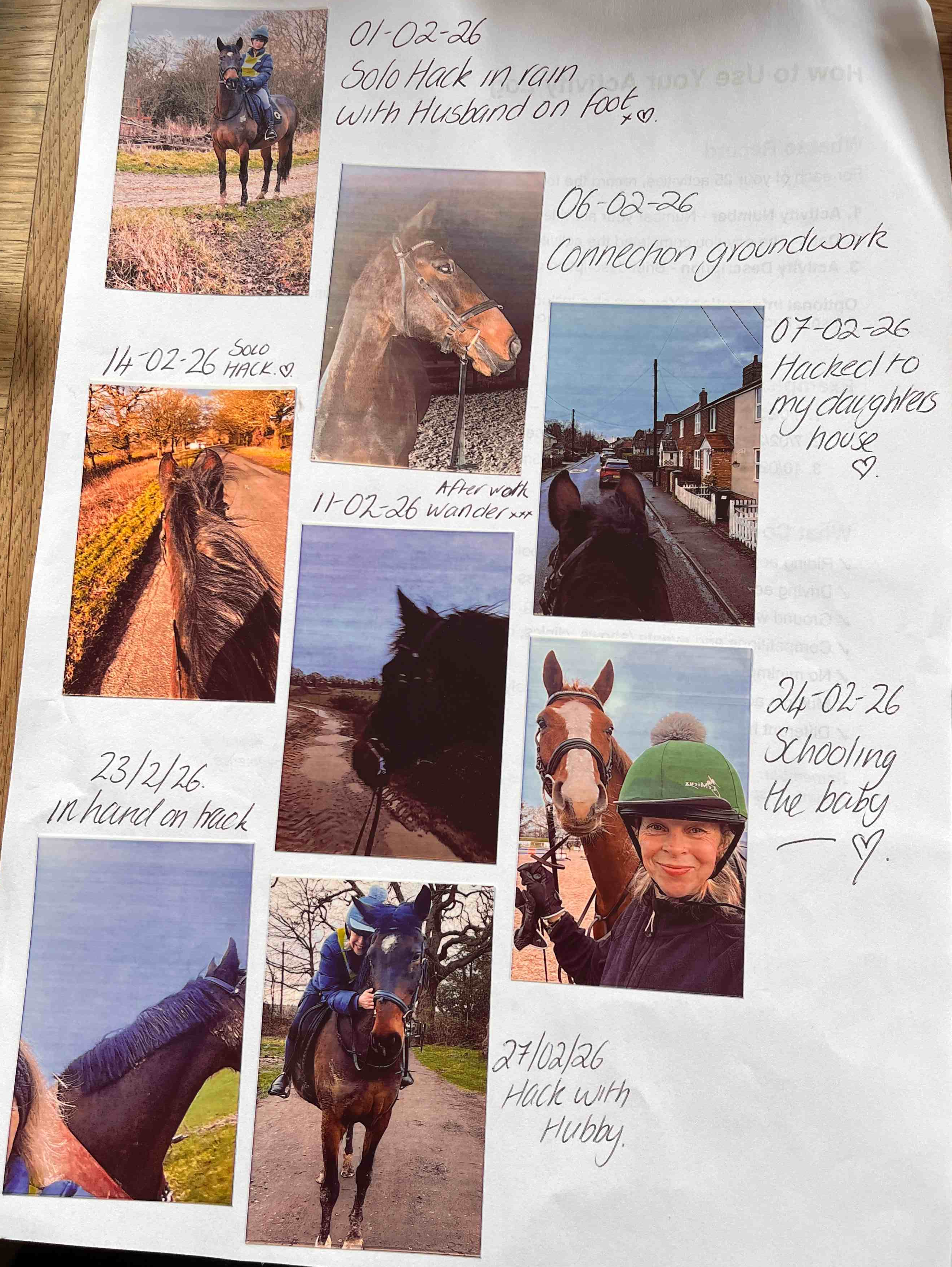 Participant scrapbook page 2