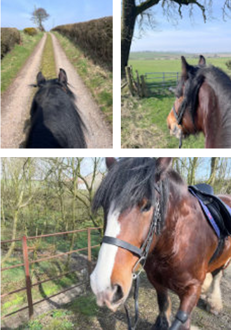 Challenge participant photo