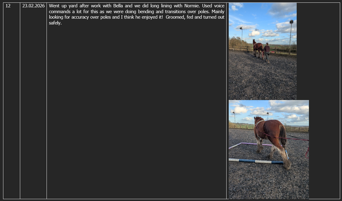 Participant scrapbook submission